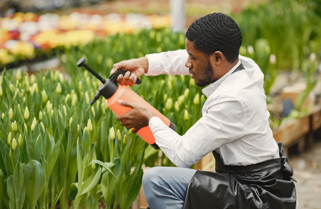How the Iran Conflict Is Quietly Fueling a Global Hunger Crisis
