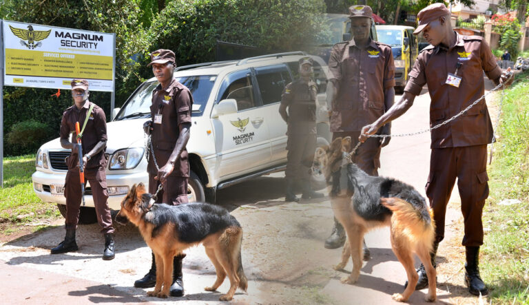 Magnum Security Limited staff